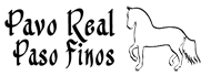 Paso finos - Rancho Pavo Real