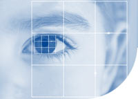 SEO finger on the pulse